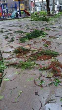 Typhoon soudelor aftermath 