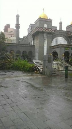 Typhoon soudelor aftermath
