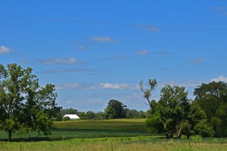 Ohio Farmland Clear Skies