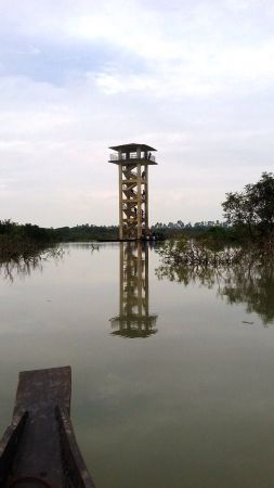 Watch Tower in a Swamp