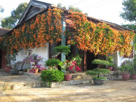 flower house