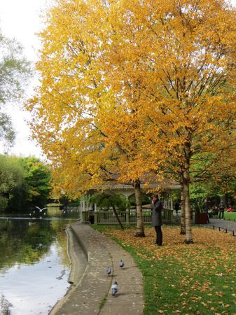 Autumn in Dublin