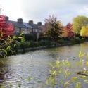 Blessington Basin