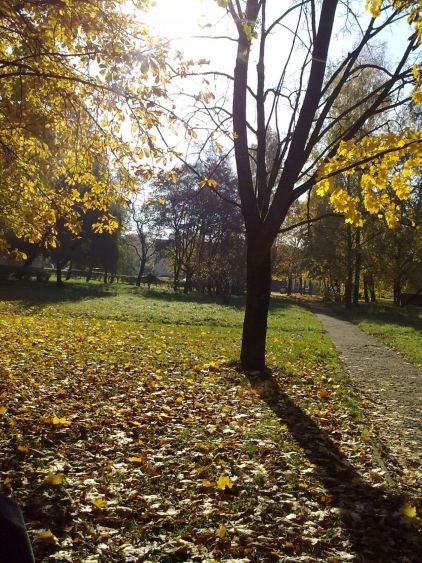 Kaunas Park