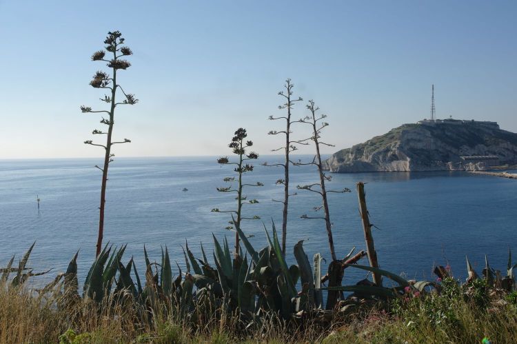 Iles du Frioul à Marseille