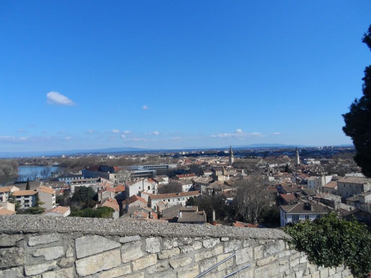 Vista de Avignon