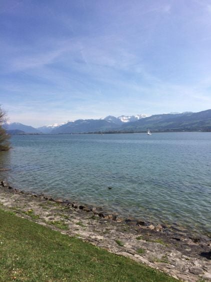 Lago di Zurigo