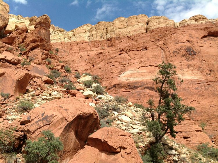 Red Rock National Conservation area