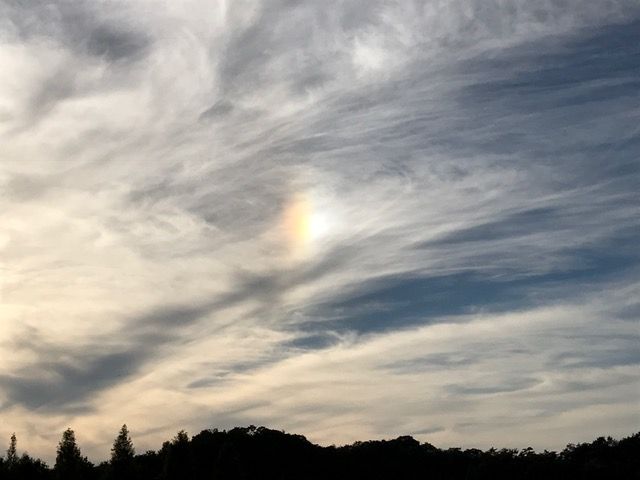 "Dogbow" in sky at Sera