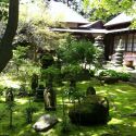 Jardin à Kamakura