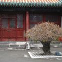 pre-Qing buildings