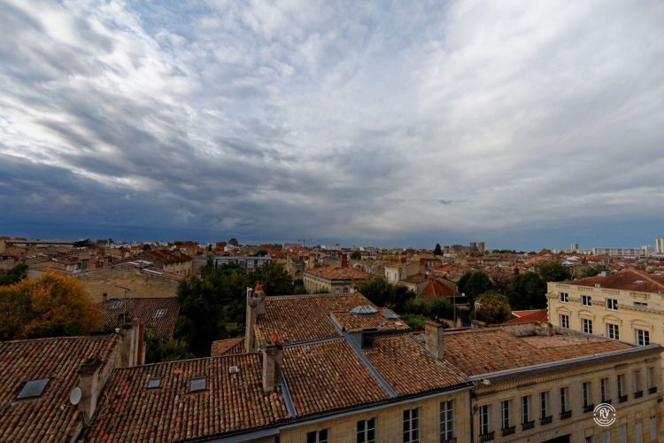 Les toits de Bordeaux