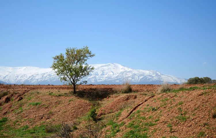 Guadix