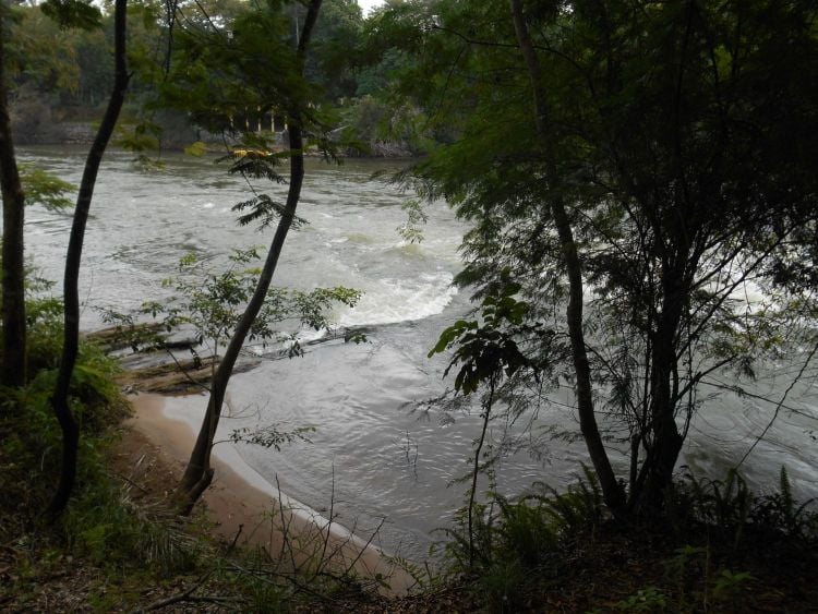 Guararema city River