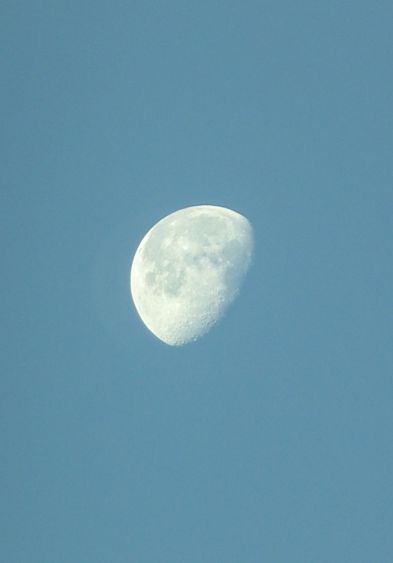 Luna at 630am