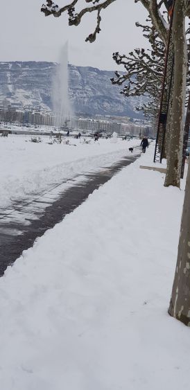 La neige au bord du lac