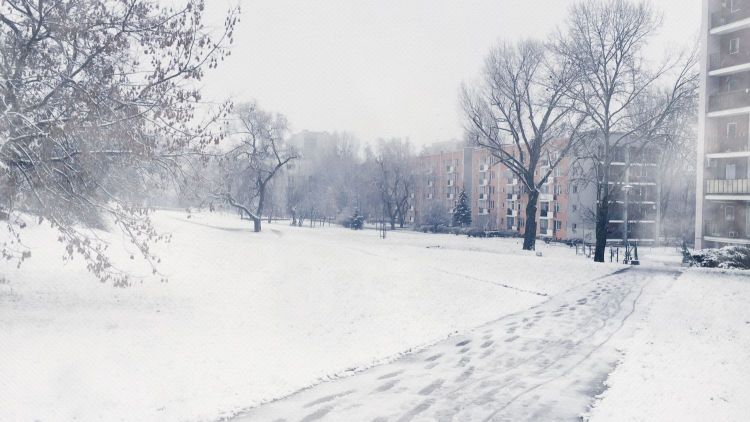 Snowy Warszawa