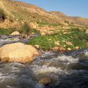at Zarqa River near King Talal Dam