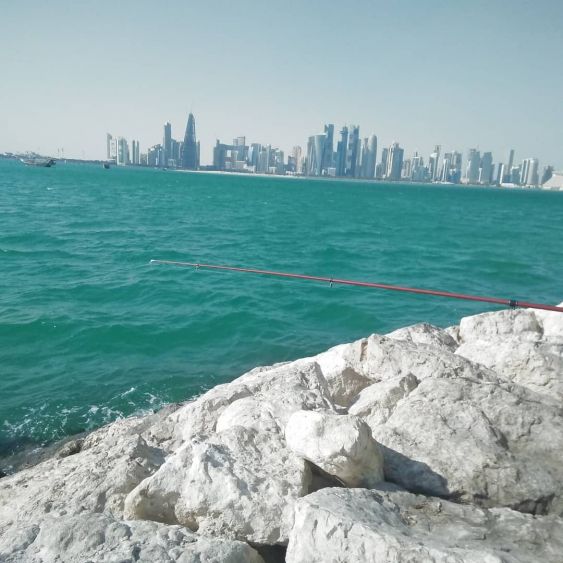 Fishing in doha