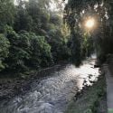 A river in ubud