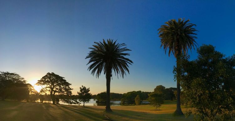 Sydney sunset at Centennial Park