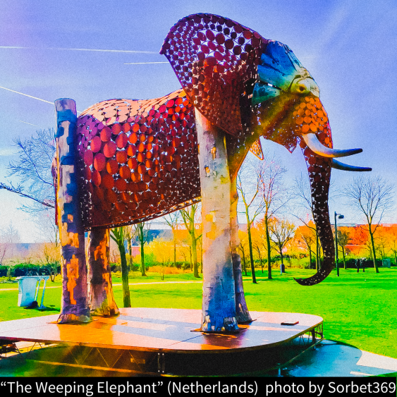 The Weeping Elephant