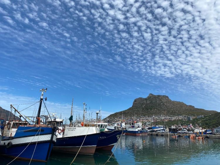 Hout Bay Harbour 