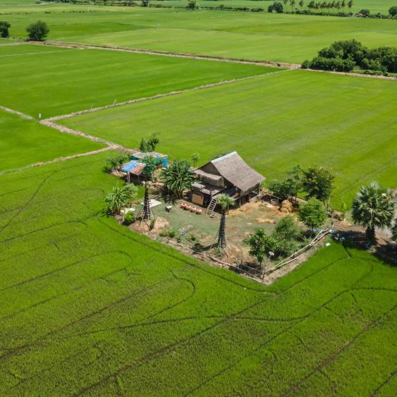 Rice field cottage 