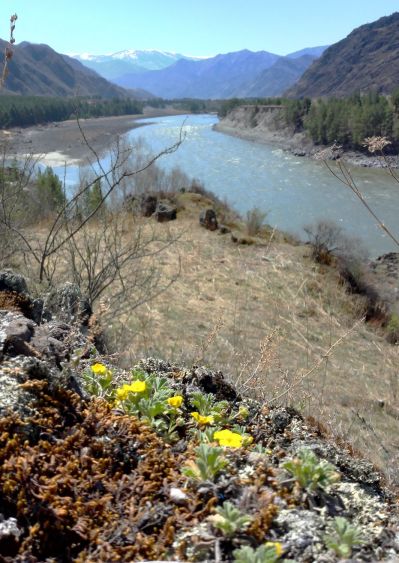 katun river 16th april 