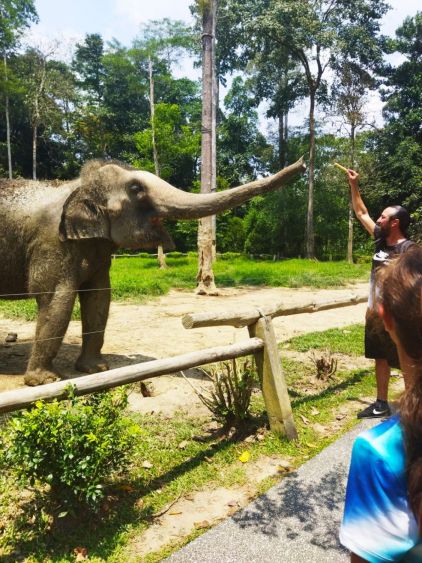 Sanctuaire des éléphants