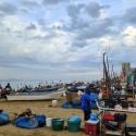 Fish market on the beach