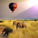 montgolfiere serengeti safaris Tanzanie