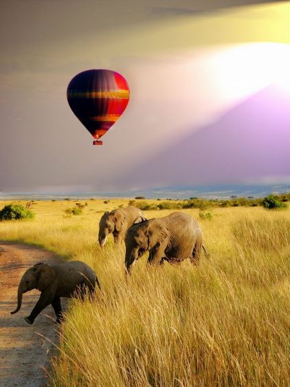 montgolfiere serengeti safaris Tanzanie
