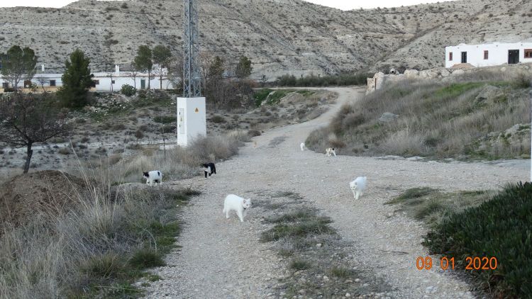 Avec mes petits amis