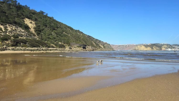 BAIE DE SAO MARTINHO DO PORTO 