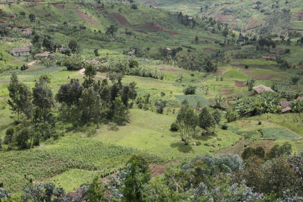 Burundi scenery