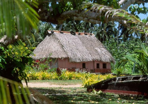 traditional fale