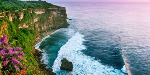 Working in Indonesia