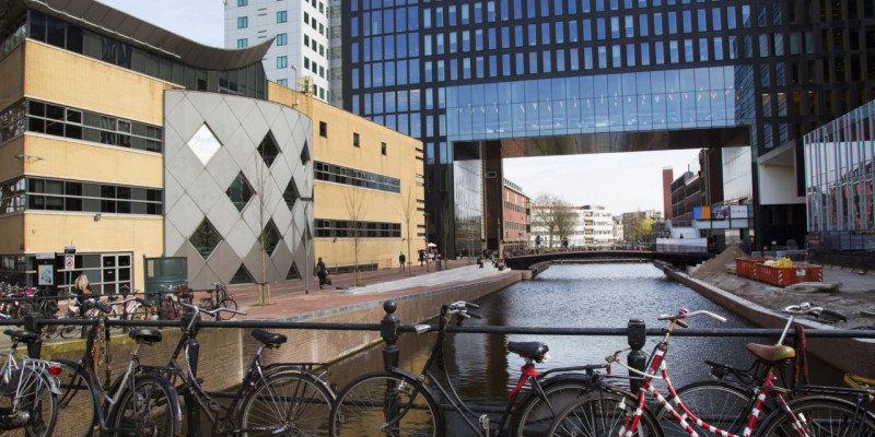 study in the Netherlands