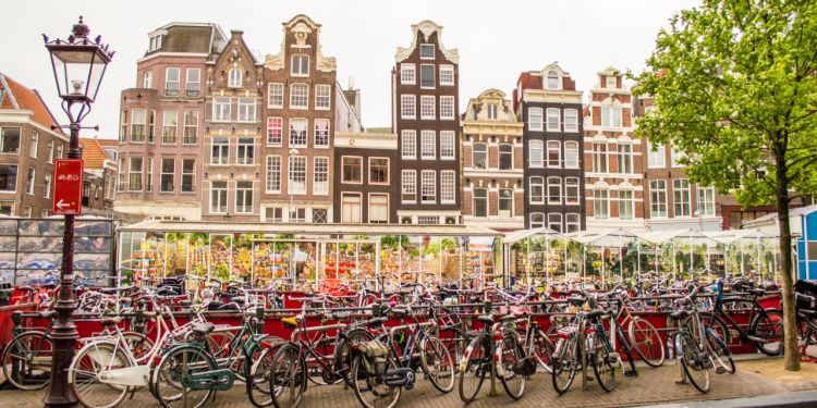 bikes in Amsterdam