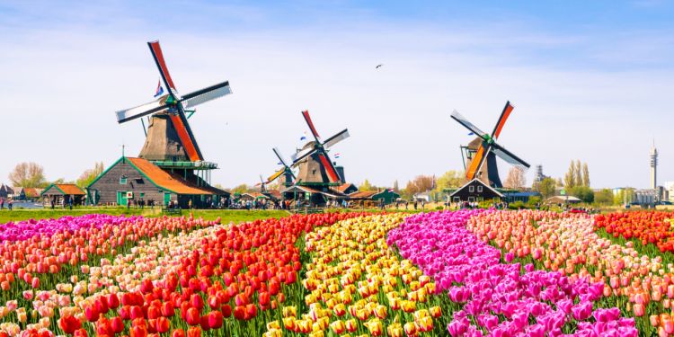 Things to do on weekdays in Amsterdam