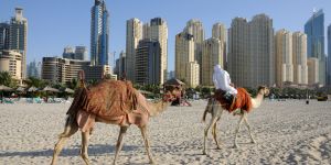 Les choses à voir et à faire aux Émirats arabes unis