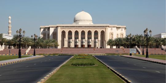 Studi universitari negli Emirati Arabi Uniti