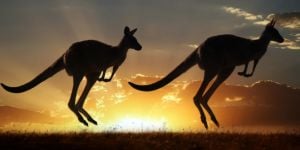 Étudier en Australie