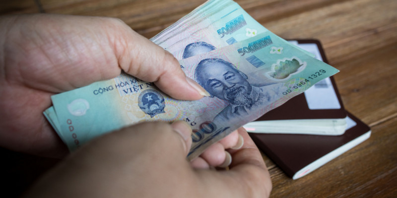 Vietnamese bank notes