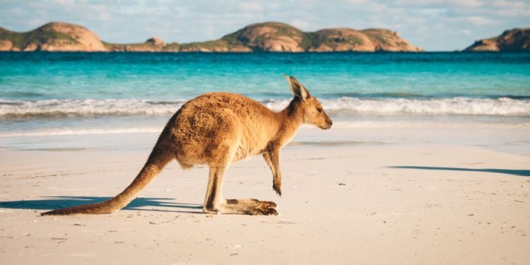 australie tourisme