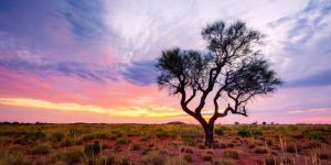 Le marché du travail en Australie