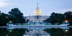 Finding work in Washington D.C.