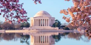 Accommodation in Washington D.C.