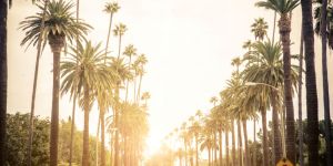 Accommodation in Los Angeles